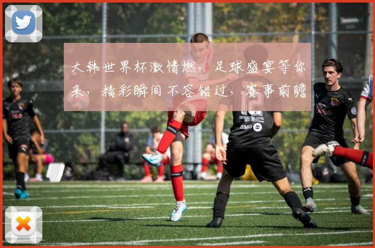 大韩世界杯激情燃，足球盛宴等你来，精彩瞬间不容错过，赛事前瞻一网打尽，锁定焦点