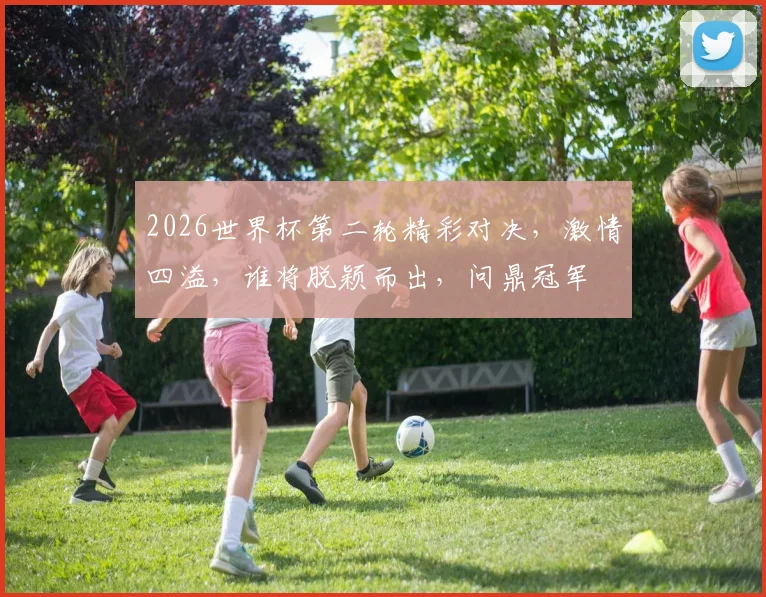 2026世界杯第二轮精彩对决，激情四溢，谁将脱颖而出，问鼎冠军
