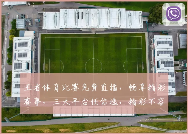 王者体育比赛免费直播，畅享精彩赛事，三大平台任你选，精彩不容错过，尽在指尖